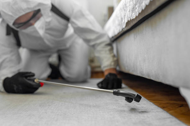 Professional Termite Control technician working in Awendaw, SC