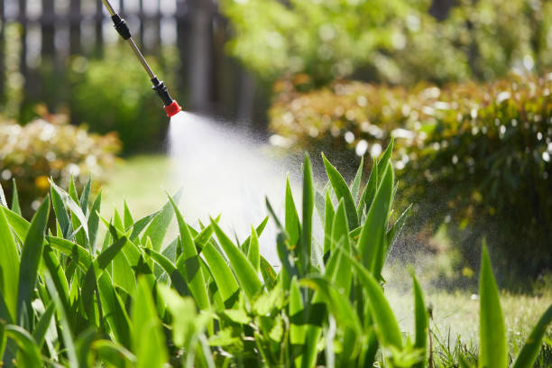 24/7 Emergency Termite Control experts in Awendaw, SC