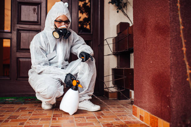 Reliable Termite Control contractor in Awendaw, SC by Nex Pest Control